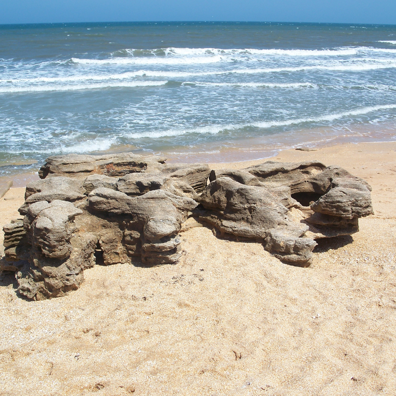 florida state parks