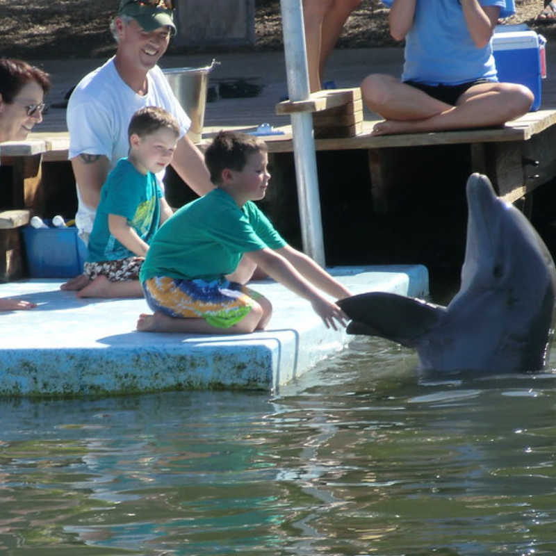 Dolphin Research Center